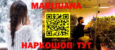 сатива Малгобек