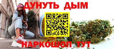 сатива Малгобек