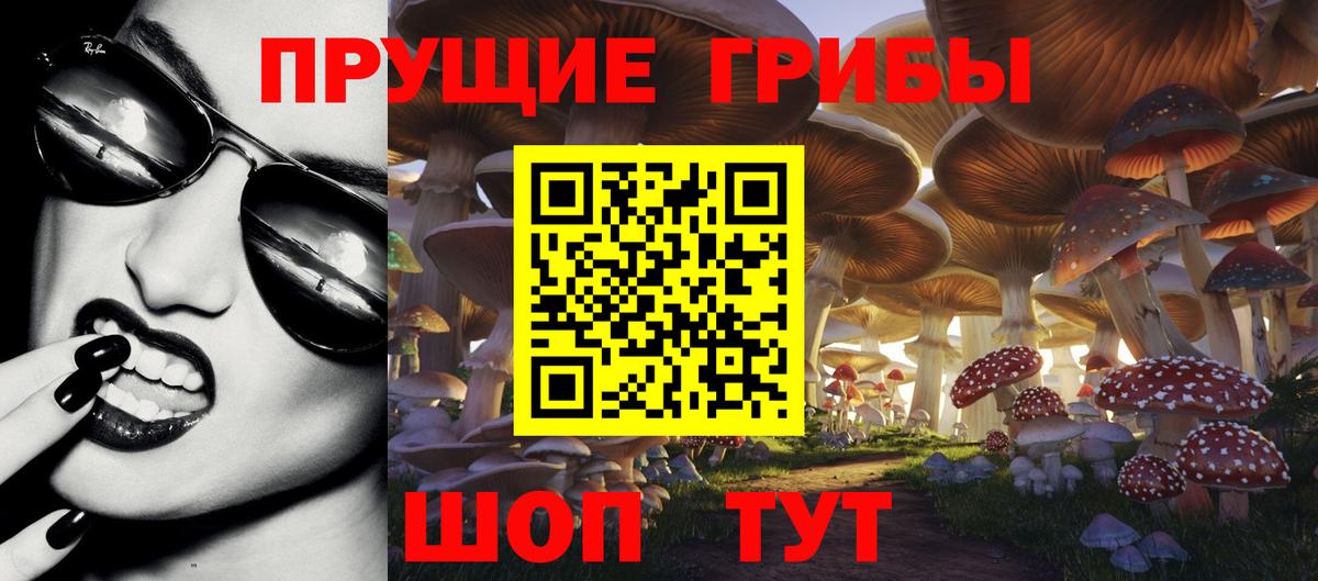 Галлюциногенные грибы мухоморы Гурьевск